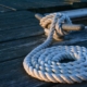 Halyard - Rope on Deck
